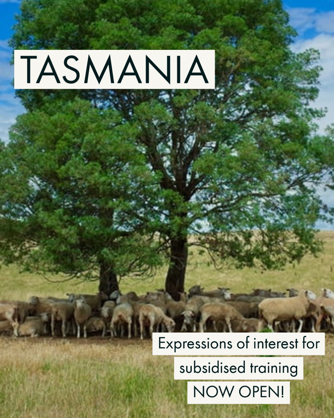 Tasmanian Skills Fund 2022